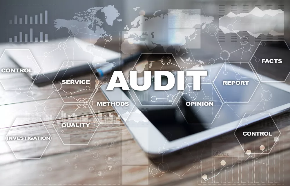 Audit & Risk Management Services In UAE